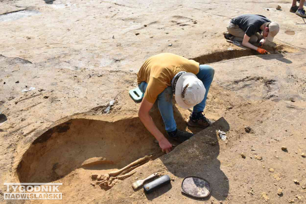 Odkrycia archeologiczne w Wilczycach