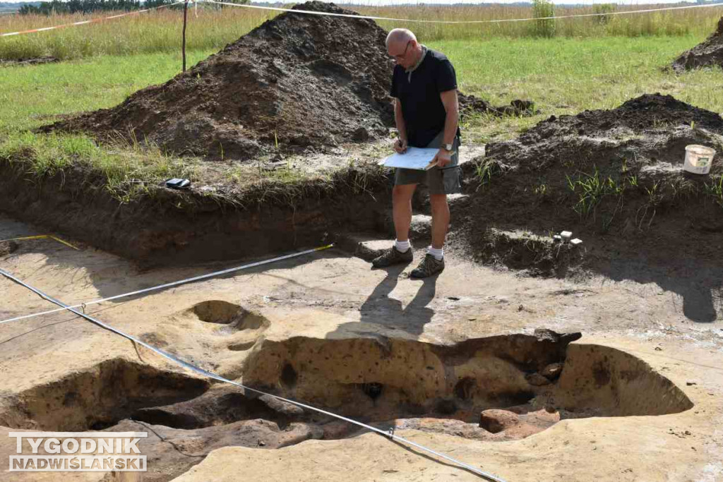 Odkrycia archeologiczne w Wilczycach