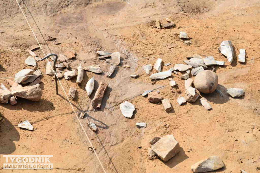 Odkrycia archeologiczne w Wilczycach