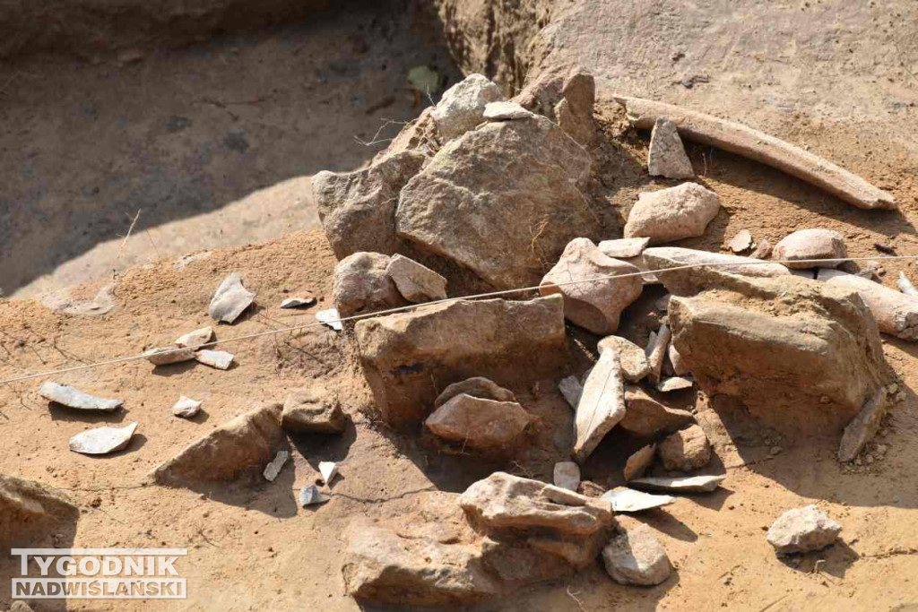 Odkrycia archeologiczne w Wilczycach