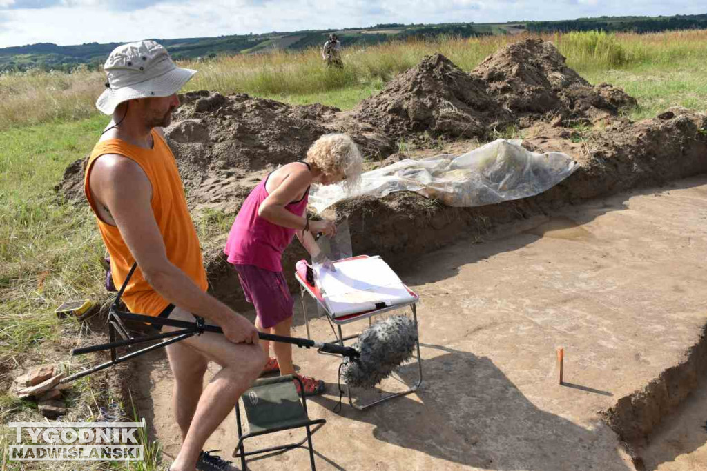 Odkrycia archeologiczne w Wilczycach