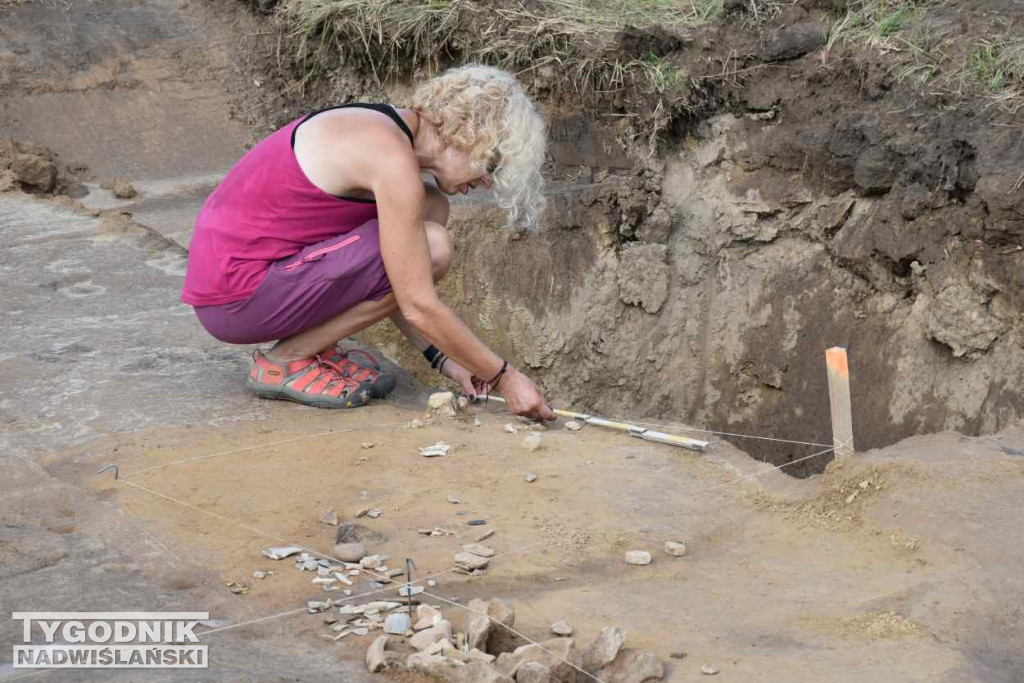 Odkrycia archeologiczne w Wilczycach