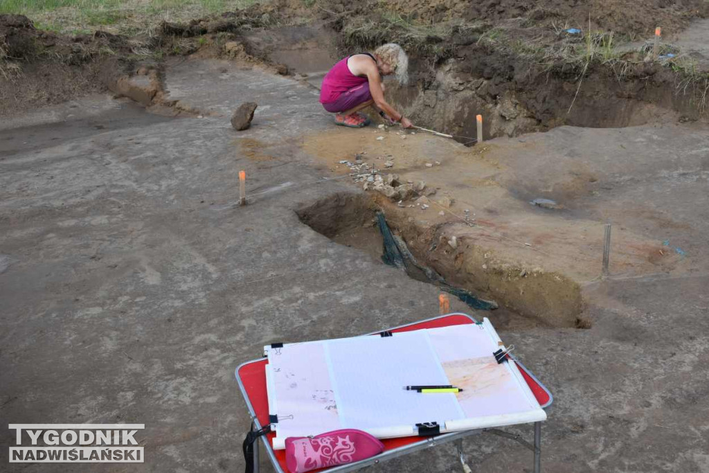 Odkrycia archeologiczne w Wilczycach