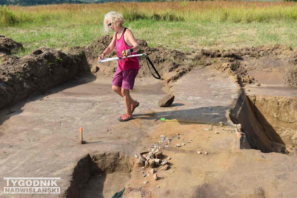 Odkrycia archeologiczne w Wilczycach