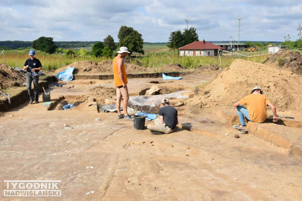 Odkrycia archeologiczne w Wilczycach