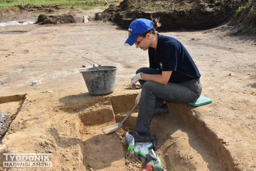 Odkrycia archeologiczne w Wilczycach