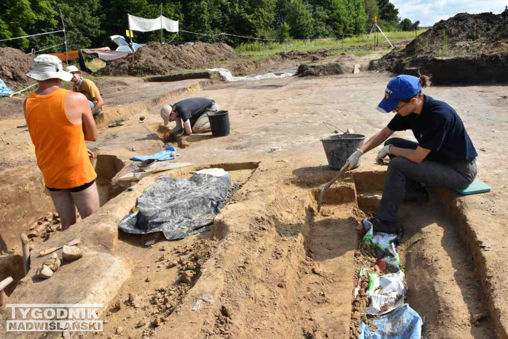 Odkrycia archeologiczne w Wilczycach