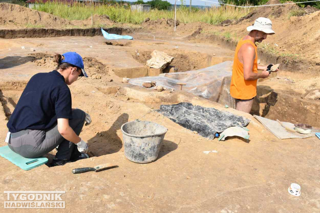Odkrycia archeologiczne w Wilczycach