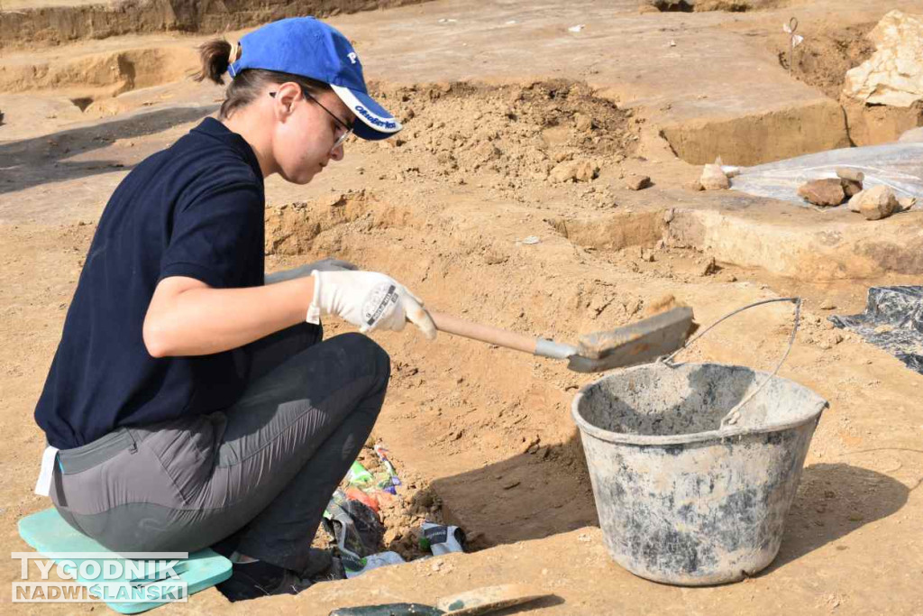 Odkrycia archeologiczne w Wilczycach