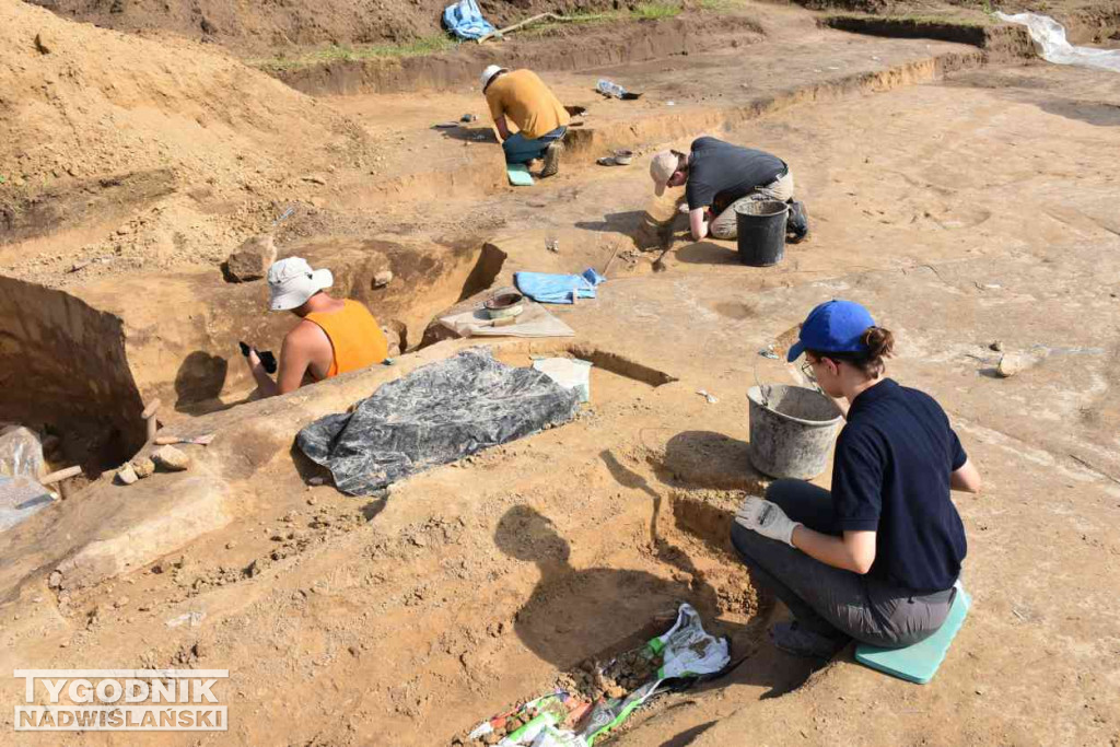 Odkrycia archeologiczne w Wilczycach