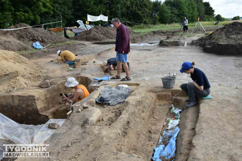 Odkrycia archeologiczne w Wilczycach