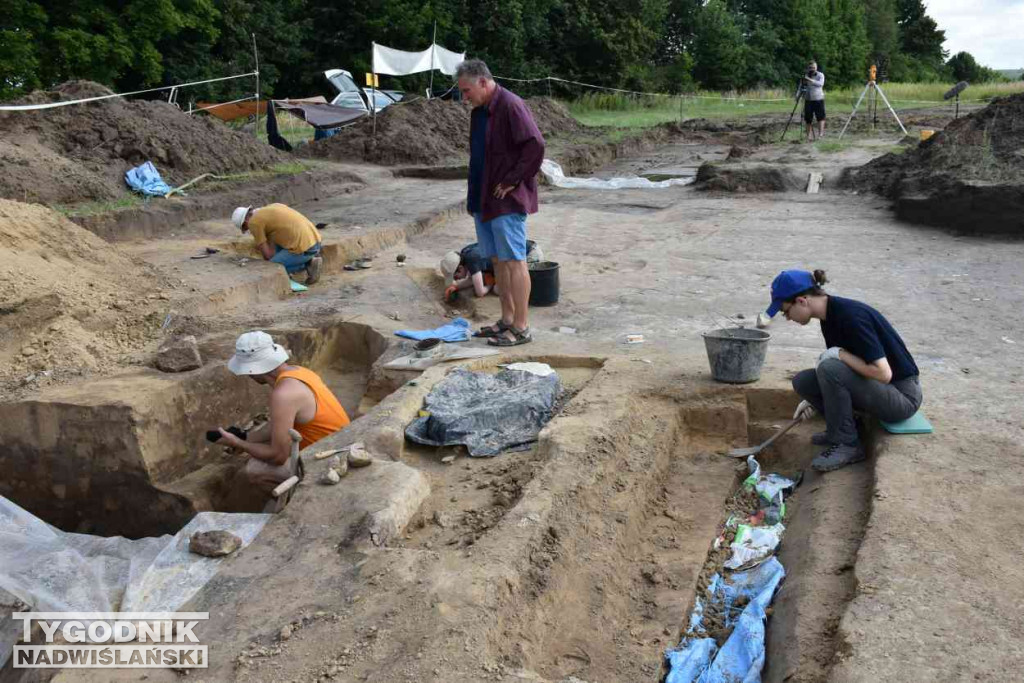 Odkrycia archeologiczne w Wilczycach