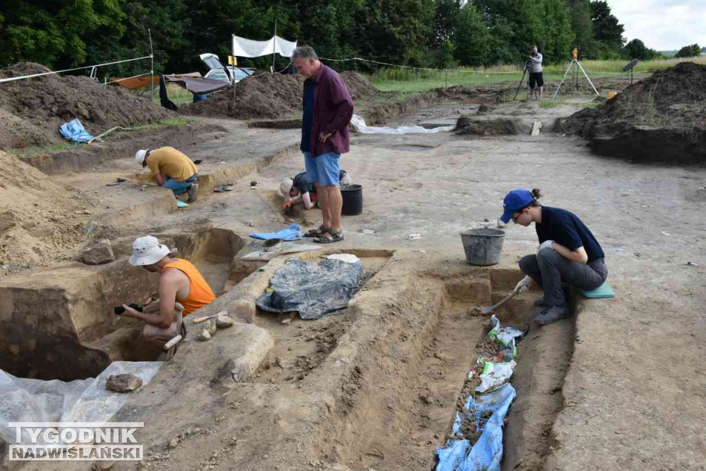 Odkrycia archeologiczne w Wilczycach