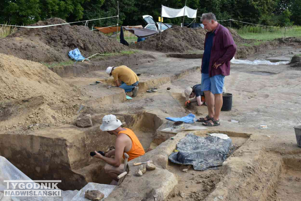 Odkrycia archeologiczne w Wilczycach