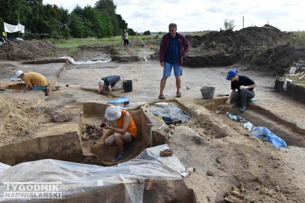 Odkrycia archeologiczne w Wilczycach