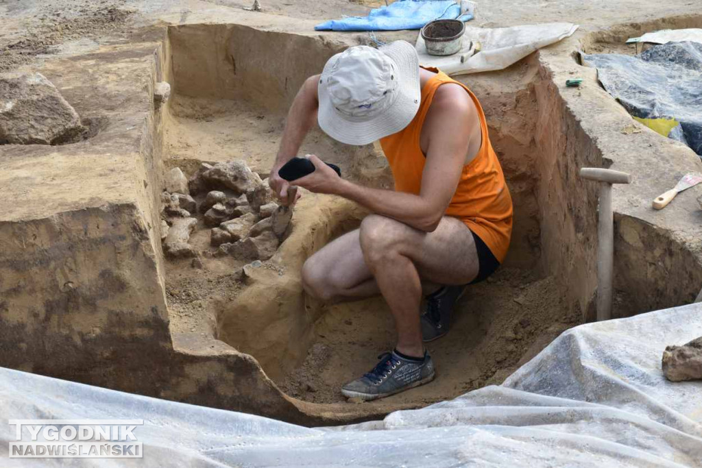 Odkrycia archeologiczne w Wilczycach