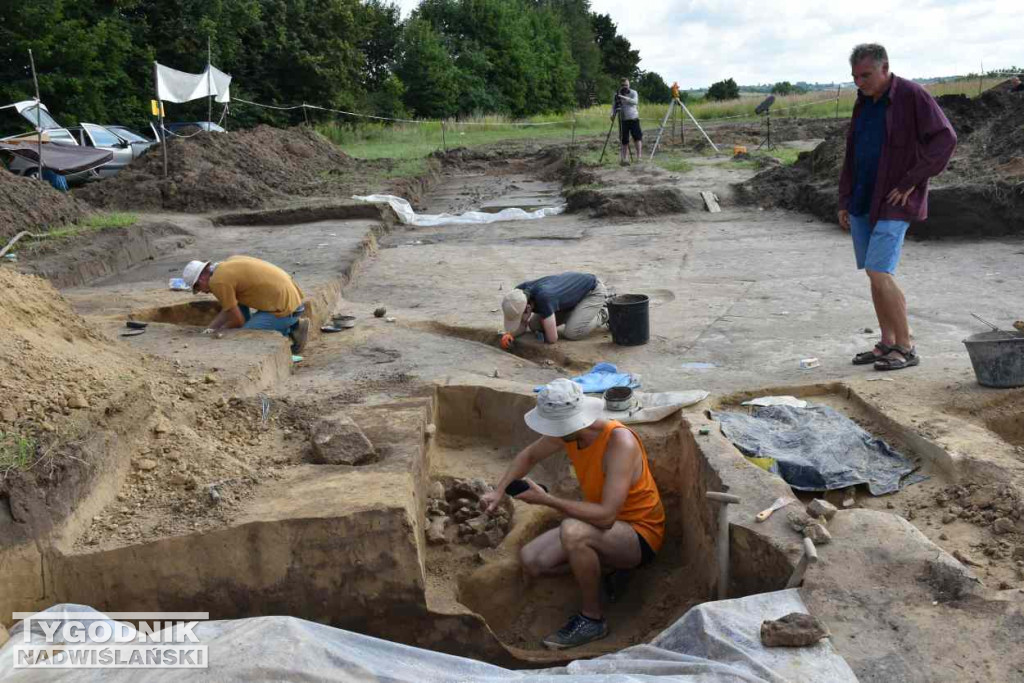 Odkrycia archeologiczne w Wilczycach