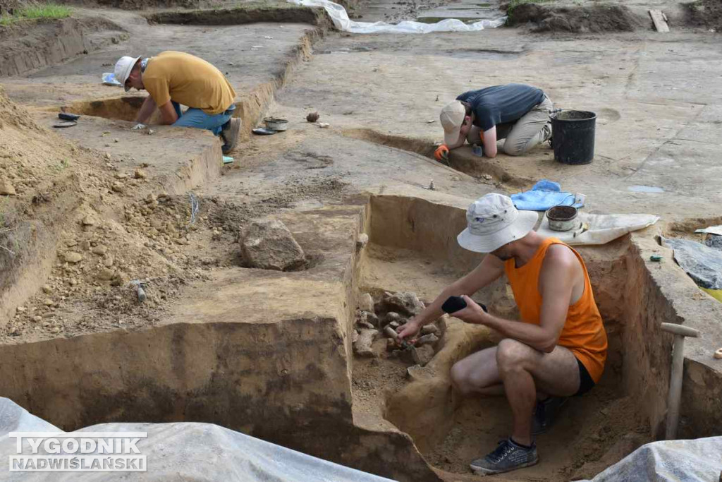 Odkrycia archeologiczne w Wilczycach