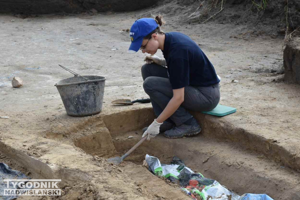 Odkrycia archeologiczne w Wilczycach