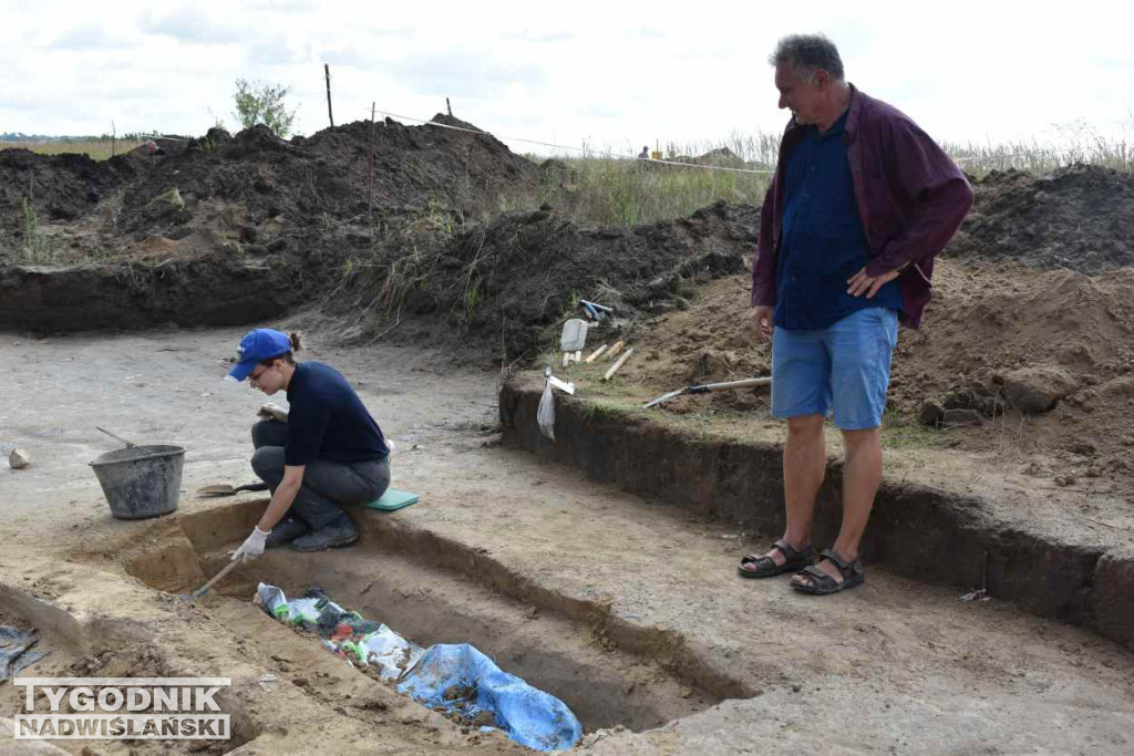 Odkrycia archeologiczne w Wilczycach