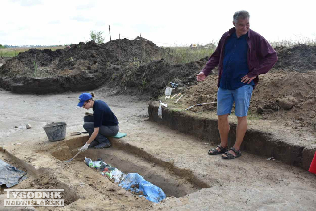 Odkrycia archeologiczne w Wilczycach