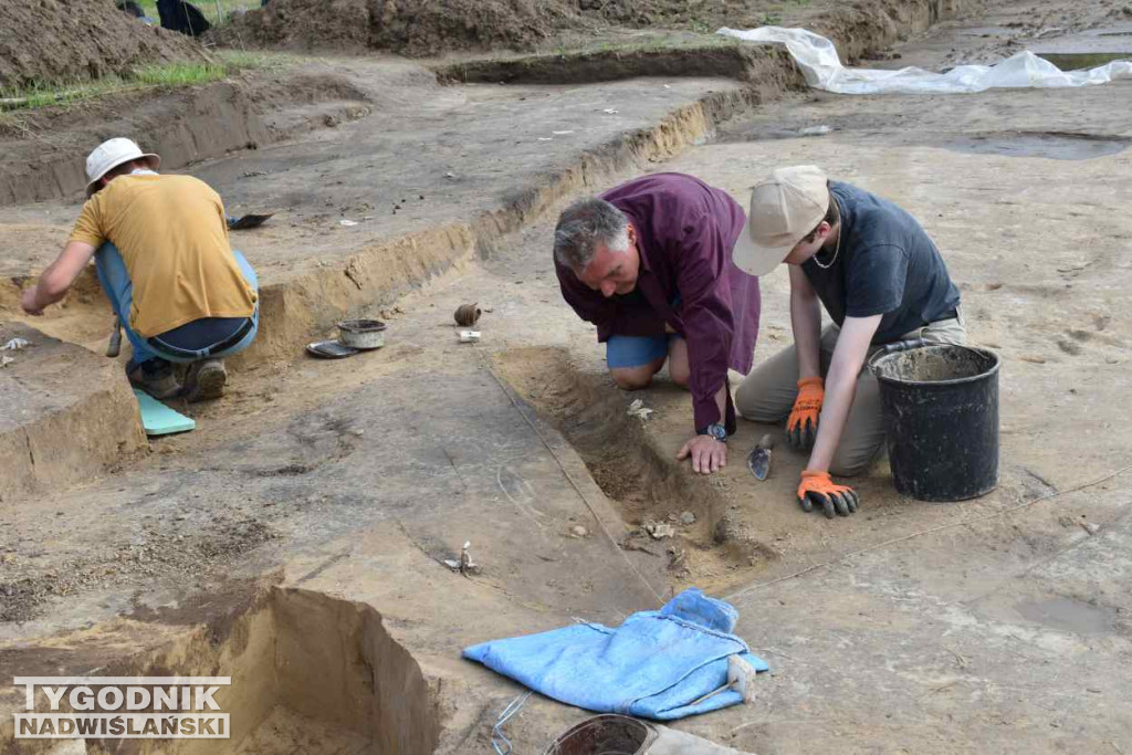 Odkrycia archeologiczne w Wilczycach