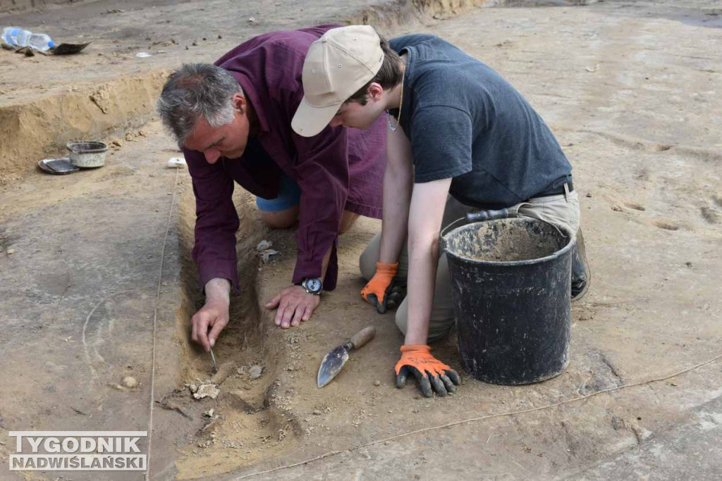 Odkrycia archeologiczne w Wilczycach