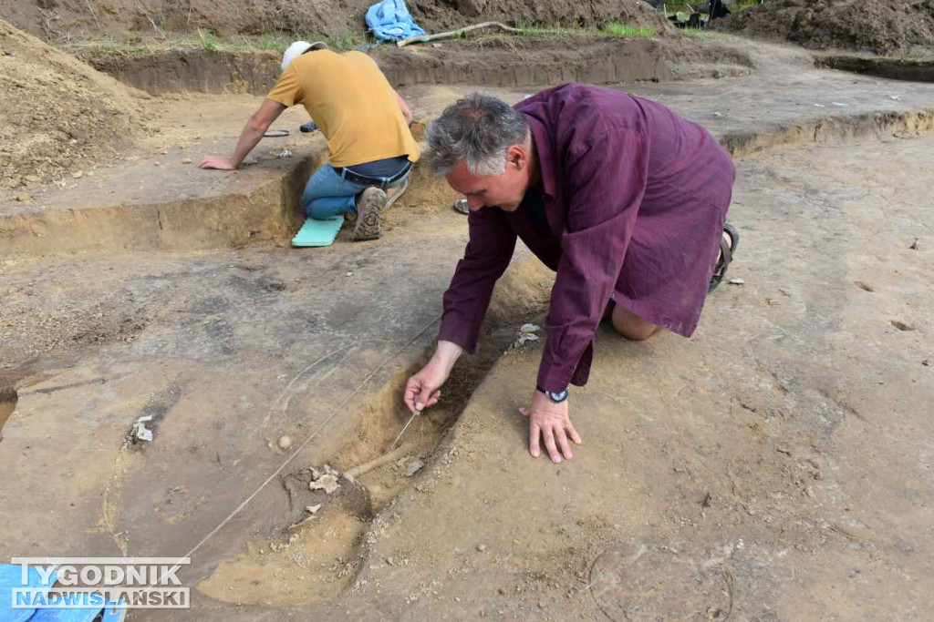 Odkrycia archeologiczne w Wilczycach