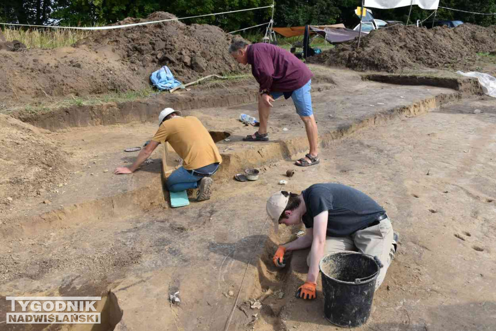 Odkrycia archeologiczne w Wilczycach
