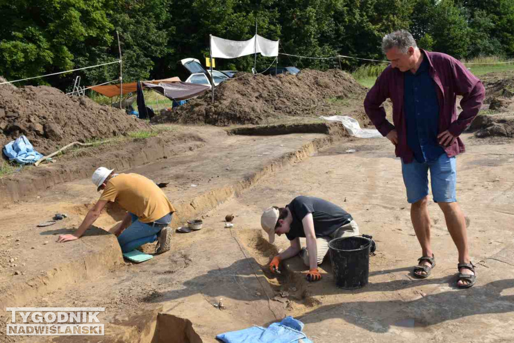 Odkrycia archeologiczne w Wilczycach