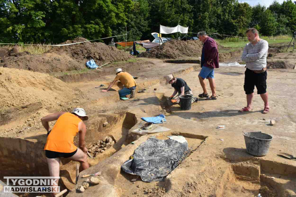 Odkrycia archeologiczne w Wilczycach