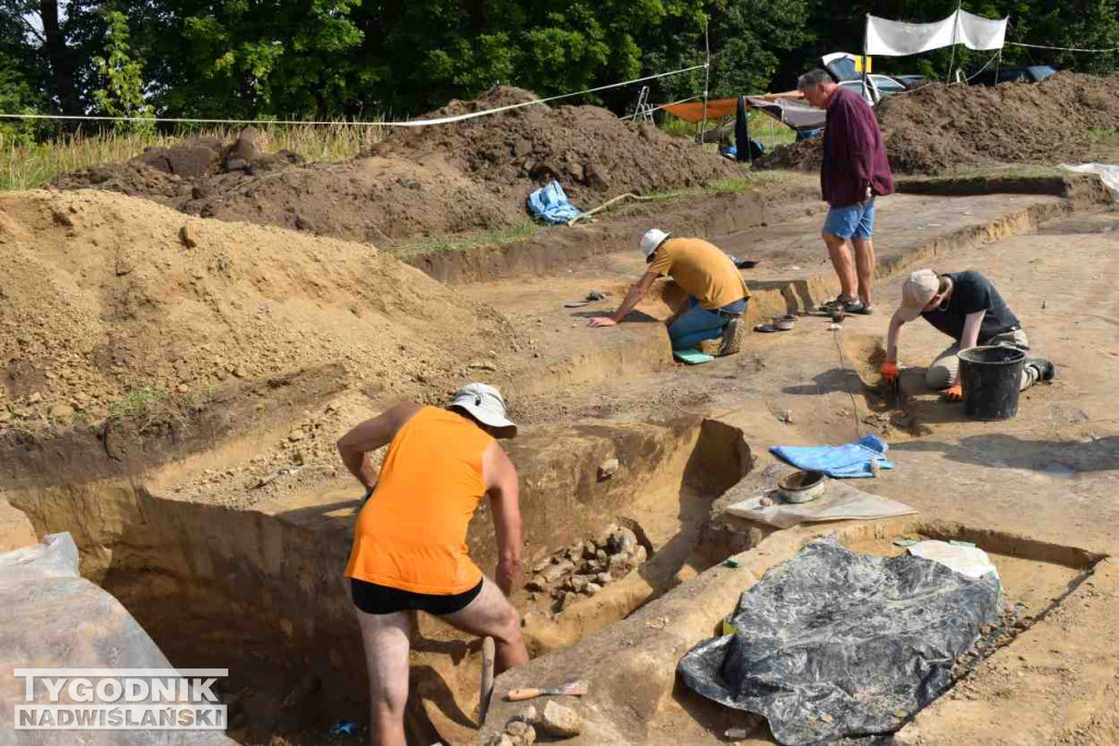 Odkrycia archeologiczne w Wilczycach