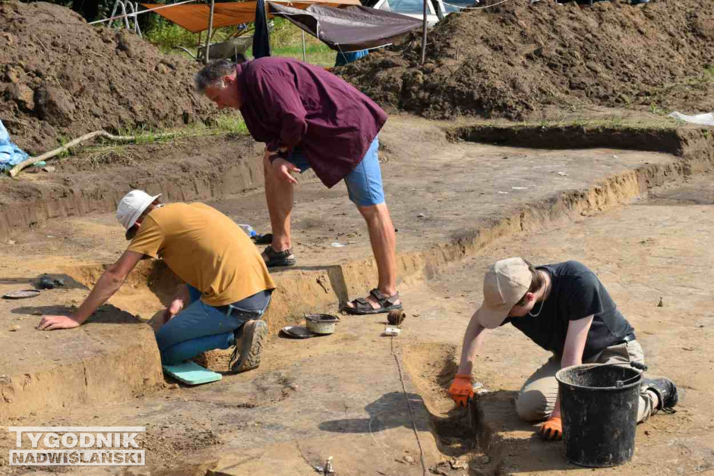 Odkrycia archeologiczne w Wilczycach