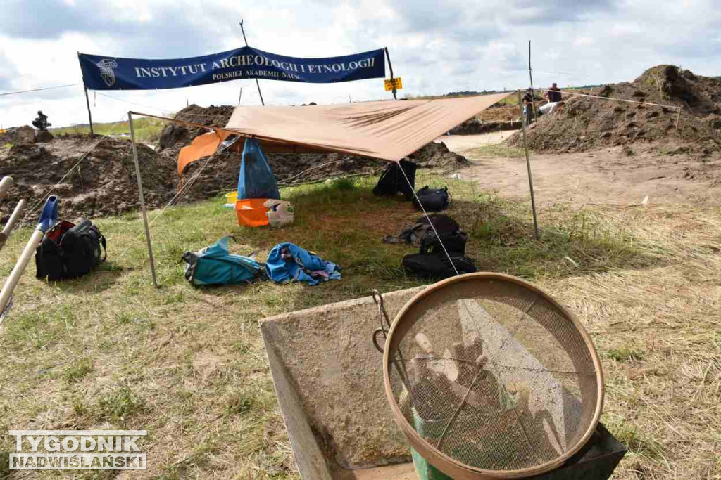 Odkrycia archeologiczne w Wilczycach