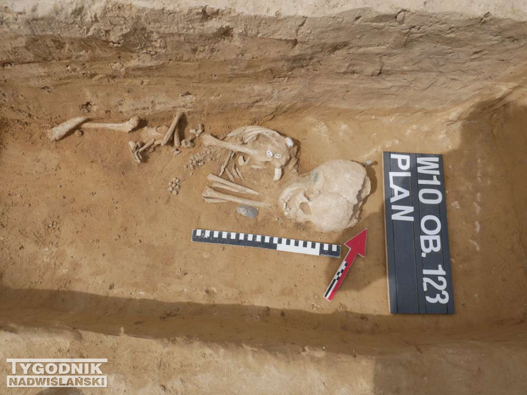 Odkrycia archeologiczne w Wilczycach