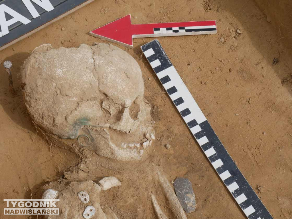 Odkrycia archeologiczne w Wilczycach