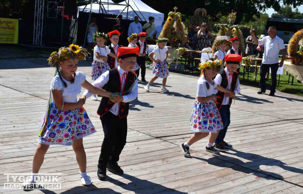 Dożynki gminne w Klimontowie