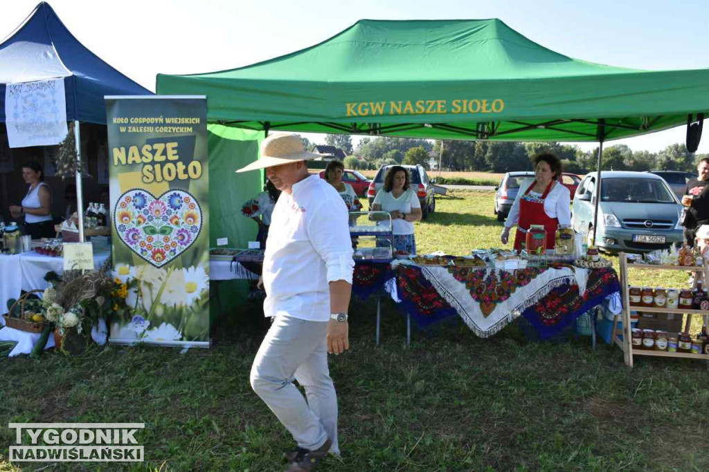 Miejskie Dożynki w Sandomierzu