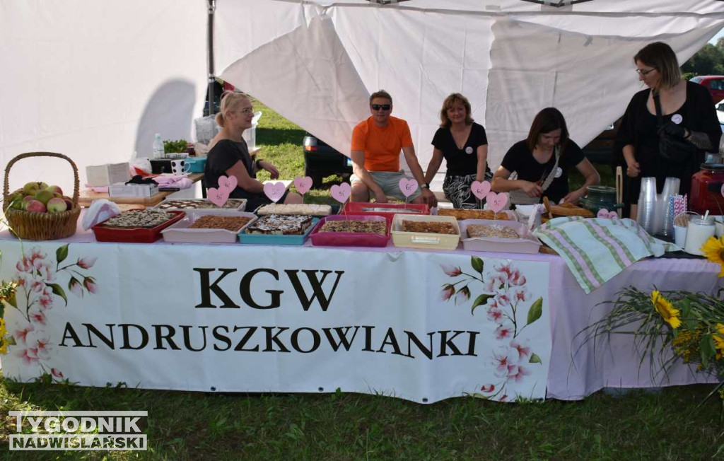 Miejskie Dożynki w Sandomierzu