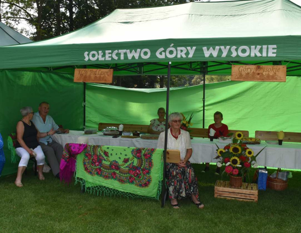 Dożynki powiatu sandomierskiego w Dwikozach