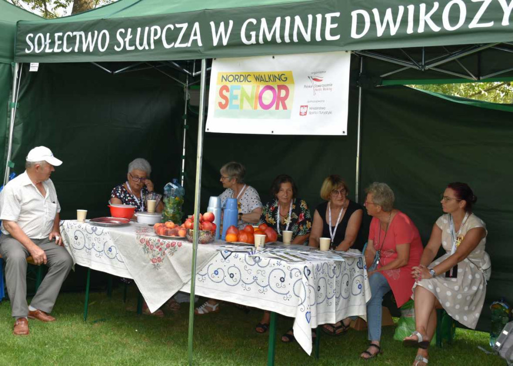 Dożynki powiatu sandomierskiego w Dwikozach