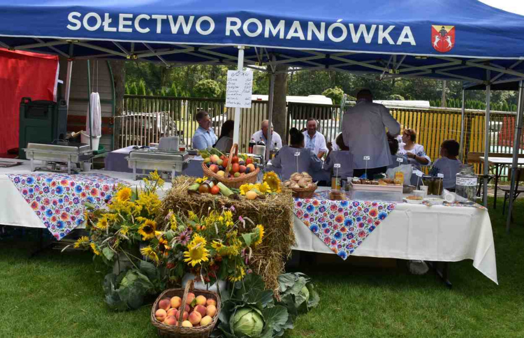Dożynki powiatu sandomierskiego w Dwikozach