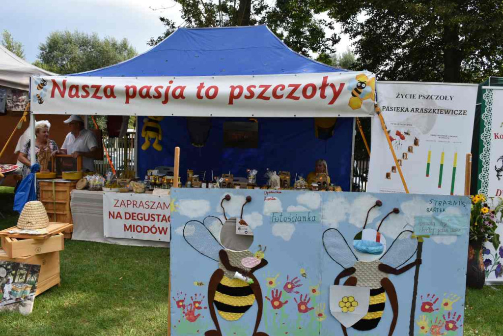 Dożynki powiatu sandomierskiego w Dwikozach