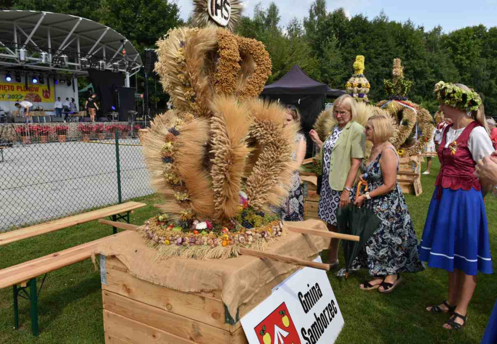Dożynki powiatu sandomierskiego w Dwikozach