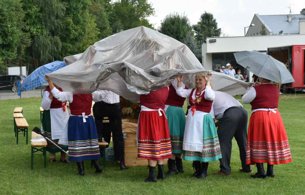 Dożynki powiatu sandomierskiego w Dwikozach
