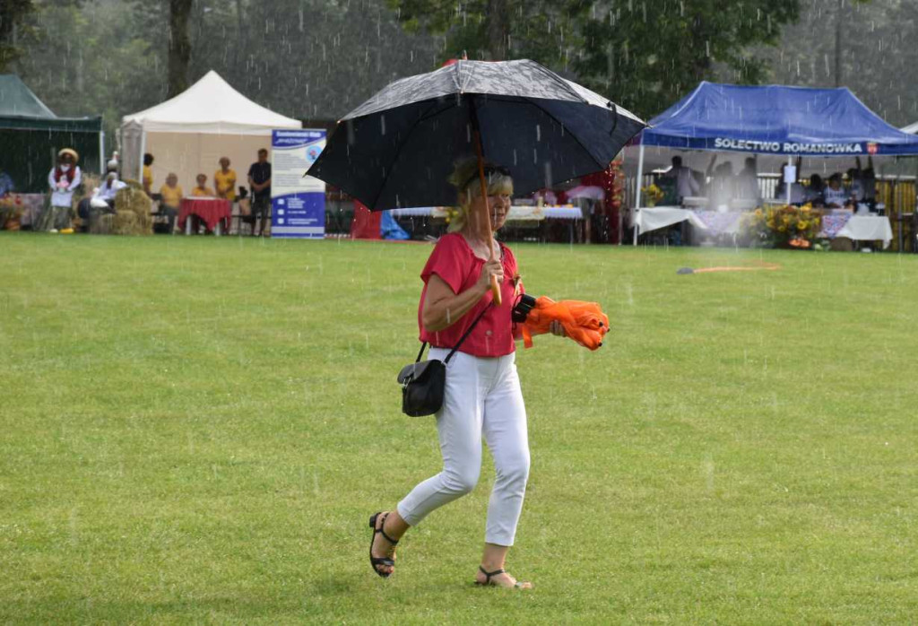 Dożynki powiatu sandomierskiego w Dwikozach