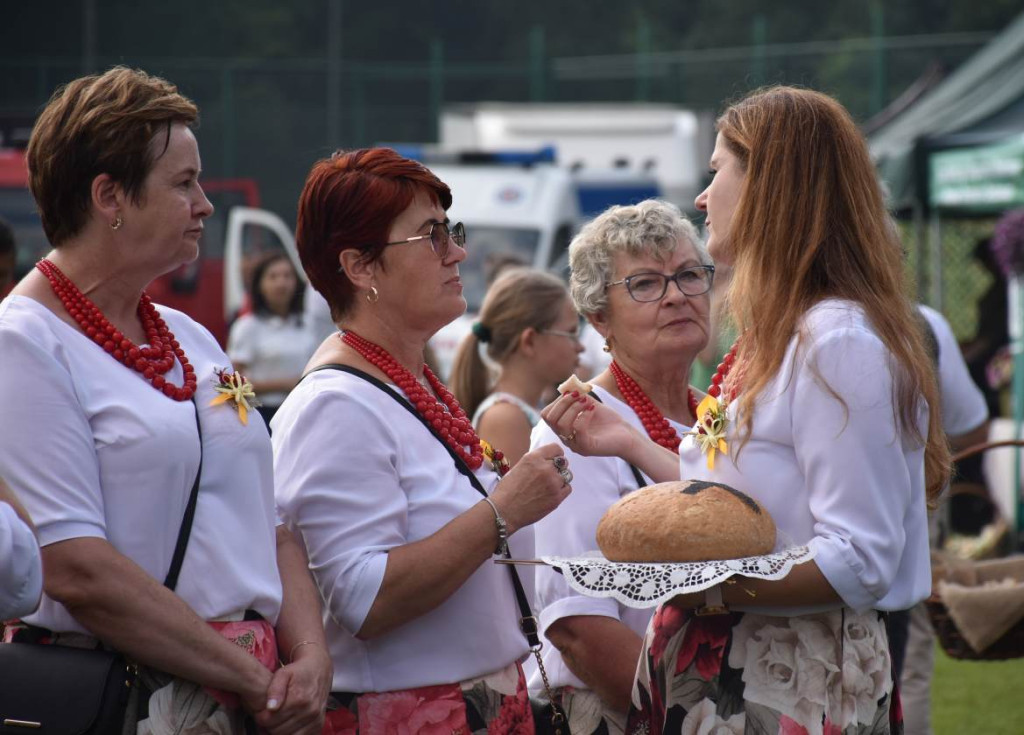 Dożynki powiatu sandomierskiego w Dwikozach