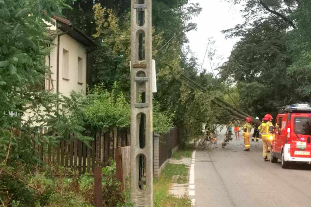 Burza i wichura w tarnobrzeskich Ocicach