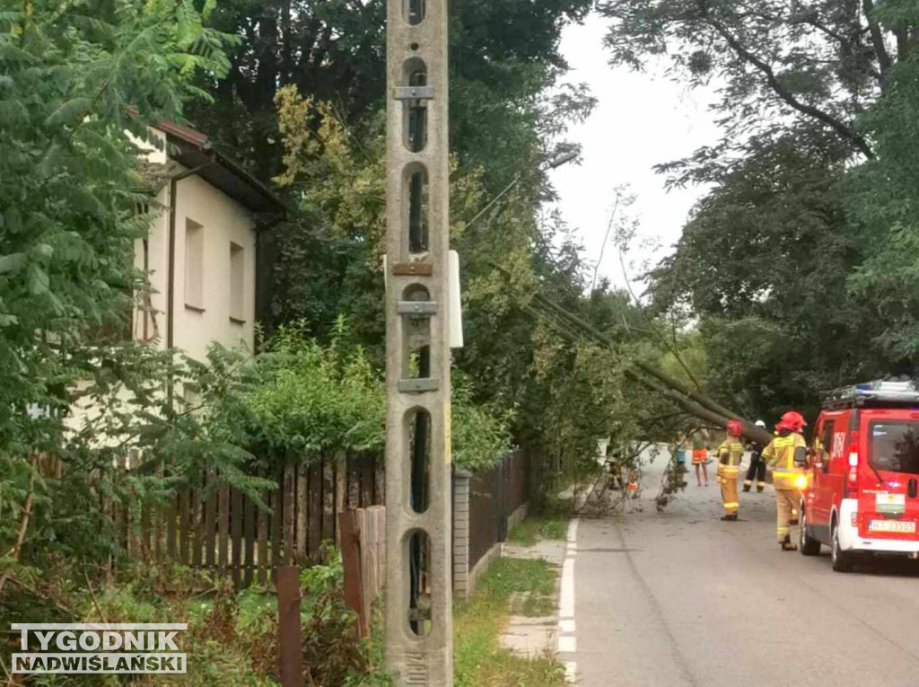 Burza i wichura w tarnobrzeskich Ocicach