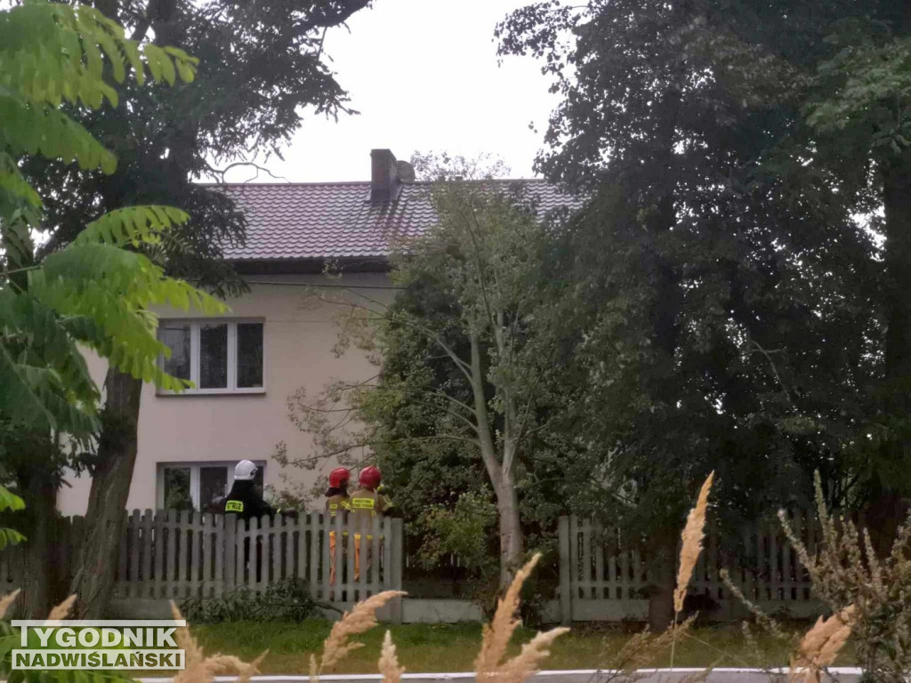 Burza i wichura w tarnobrzeskich Ocicach